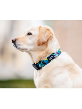 CHABA Obroża regulowana Story III L Carnival