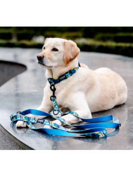 CHABA Obroża regulowana Story III L Carnival