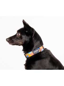 CHABA Obroża regulowana Story III L Aussie