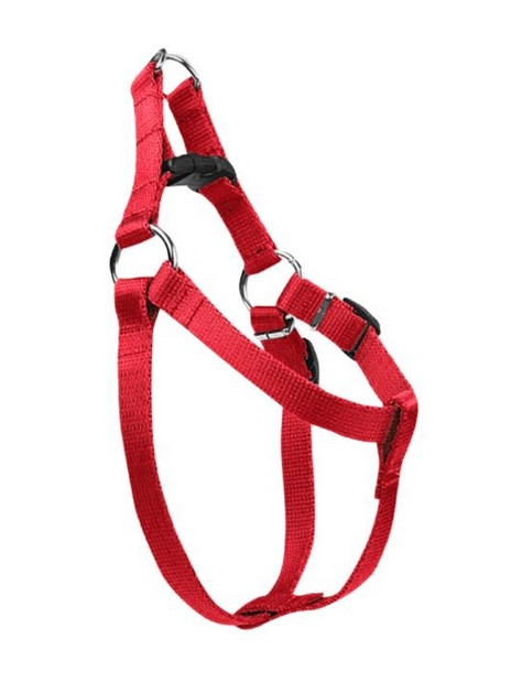 CHABA Szelki taśma regulowane nr 3 - obwód 60cm czerwone