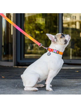 Collar WauDog Recycled Obroża nylonowa z QR-paszportem, gradient S 15mm x 25-35cm pomarańczowy