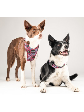 CHABA Obroża regulowana Story III L Lakota