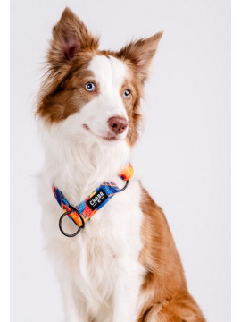 CHABA Obroża półzaciskowa Story III L Aussie