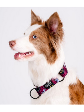 CHABA Obroża półzaciskowa Story III L Lakota