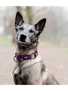 CHABA Obroża regulowana Story III M Lakota