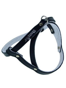 Champion Szelki 50 czarne [SD]