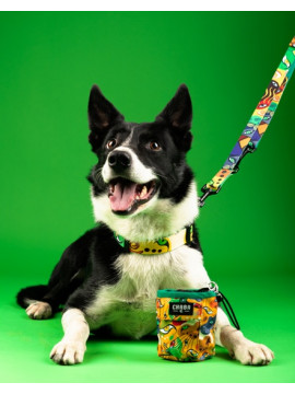 CHABA Obroża regulowana Story III S Jumbo