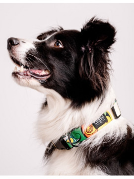 CHABA Obroża regulowana Story III S Jumbo