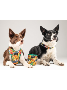 CHABA Obroża regulowana Story III S Jumbo