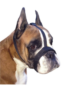 Grande Finale Kaganiec dla psa pekińczyk rozmiar 3 (20-26cm)