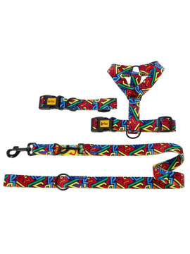 Dingo Obroża regulowana City - Graffiti 2,0cm/45cm