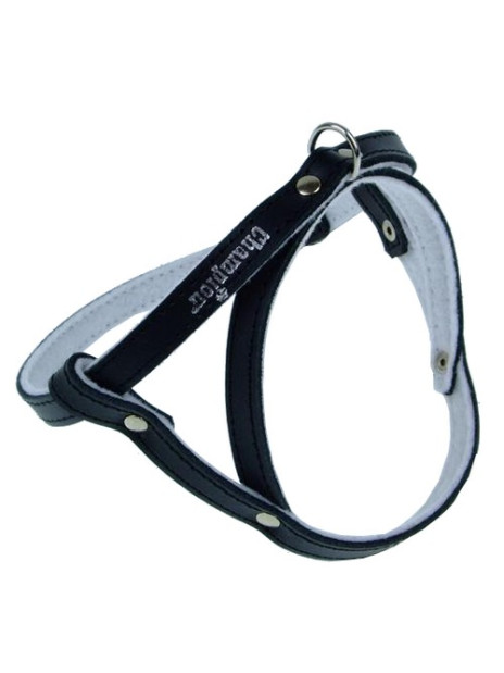 Champion Szelki 40 czarne [SD]
