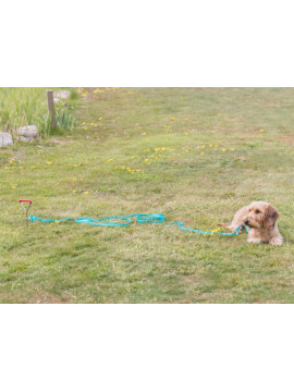Trixie Wkręt do przywiązywania psa 40cm/9mm  [TX-2259]