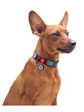 Collar WauDog Nylon Obroża nylonowa z QR-paszportem, plastikowy fastex, wzór NASA, 25mm/37-58cm