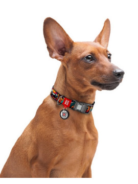 Collar WauDog Nylon Obroża nylonowa z QR-paszportem, plastikowy fastex, wzór ZĘBATE POTWORY, L 25mm/33-49cm