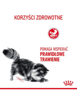 Royal Canin Digestive Care karma sucha dla kotów dorosłych, wspomagająca przebieg trawienia 4kg