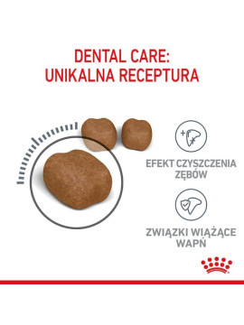 Royal Canin Dental Care karma sucha dla kotów dorosłych, redukująca odkładanie kamienia nazębnego 3,5kg