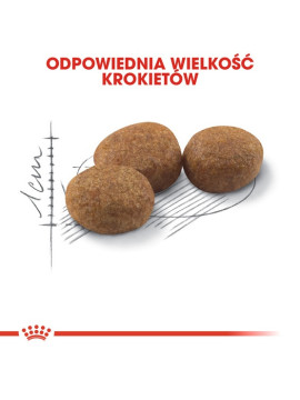 Royal Canin Sterilised karma sucha dla kotów dorosłych, sterylizowanych 4kg