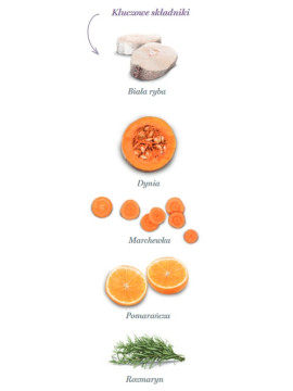 Amanova Cat Sterilised Fish Delicacy - biała ryba 4kg