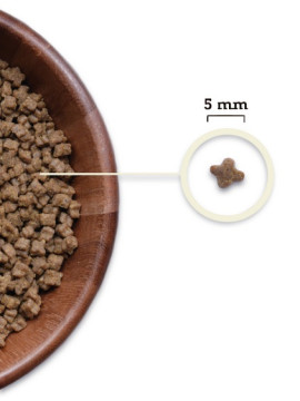 Acana Highest Protein Kitten 1,8kg
