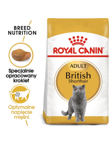 Royal Canin British Shorthair Adult karma sucha dla kotów dorosłych rasy brytyjski krótkowłosy 2kg