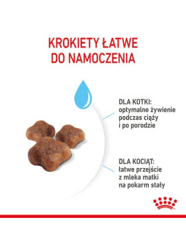 Royal Canin Mother&Babycat karma sucha dla kotek w okresie ciąży, laktacji i kociąt od 1 do 4 miesiąca 2kg