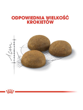 Royal Canin Indoor Long Hair karma sucha dla kotów dorosłych, długowłose, przebywających wyłącznie w domu 2kg
