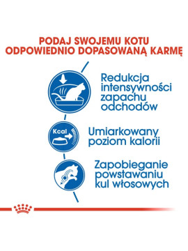 Royal Canin Indoor karma sucha dla kotów dorosłych, przebywających wyłącznie w domu 2kg