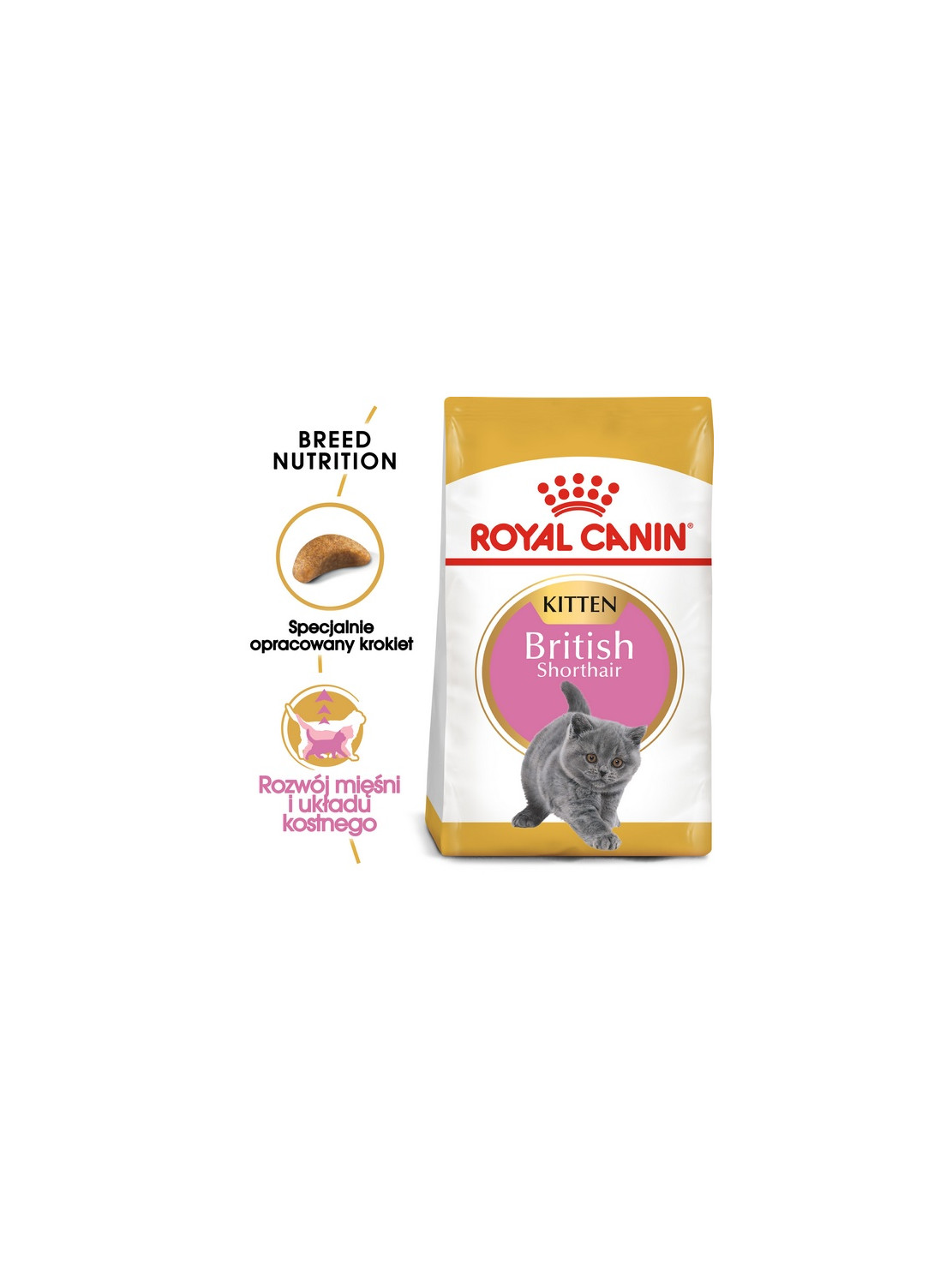 Royal Canin British Shorthair Kitten karma sucha dla kociąt, do 12 miesiąca, rasy brytyjski krótkowłosy 400g