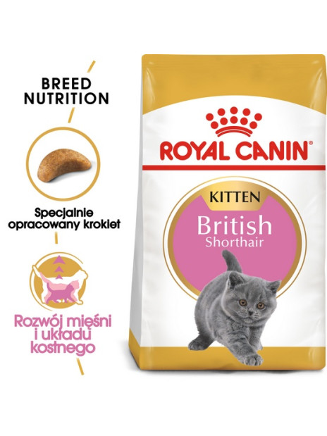 Royal Canin British Shorthair Kitten karma sucha dla kociąt, do 12 miesiąca, rasy brytyjski krótkowłosy 400g