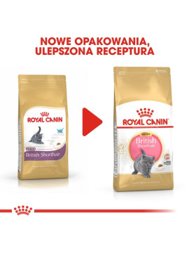 Royal Canin British Shorthair Kitten karma sucha dla kociąt, do 12 miesiąca, rasy brytyjski krótkowłosy 400g