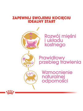 Royal Canin British Shorthair Kitten karma sucha dla kociąt, do 12 miesiąca, rasy brytyjski krótkowłosy 400g