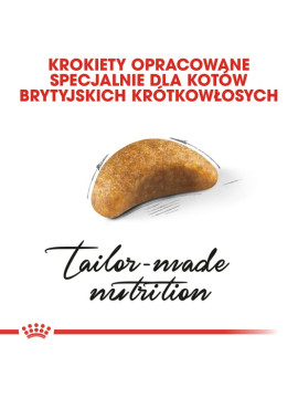 Royal Canin British Shorthair Kitten karma sucha dla kociąt, do 12 miesiąca, rasy brytyjski krótkowłosy 400g