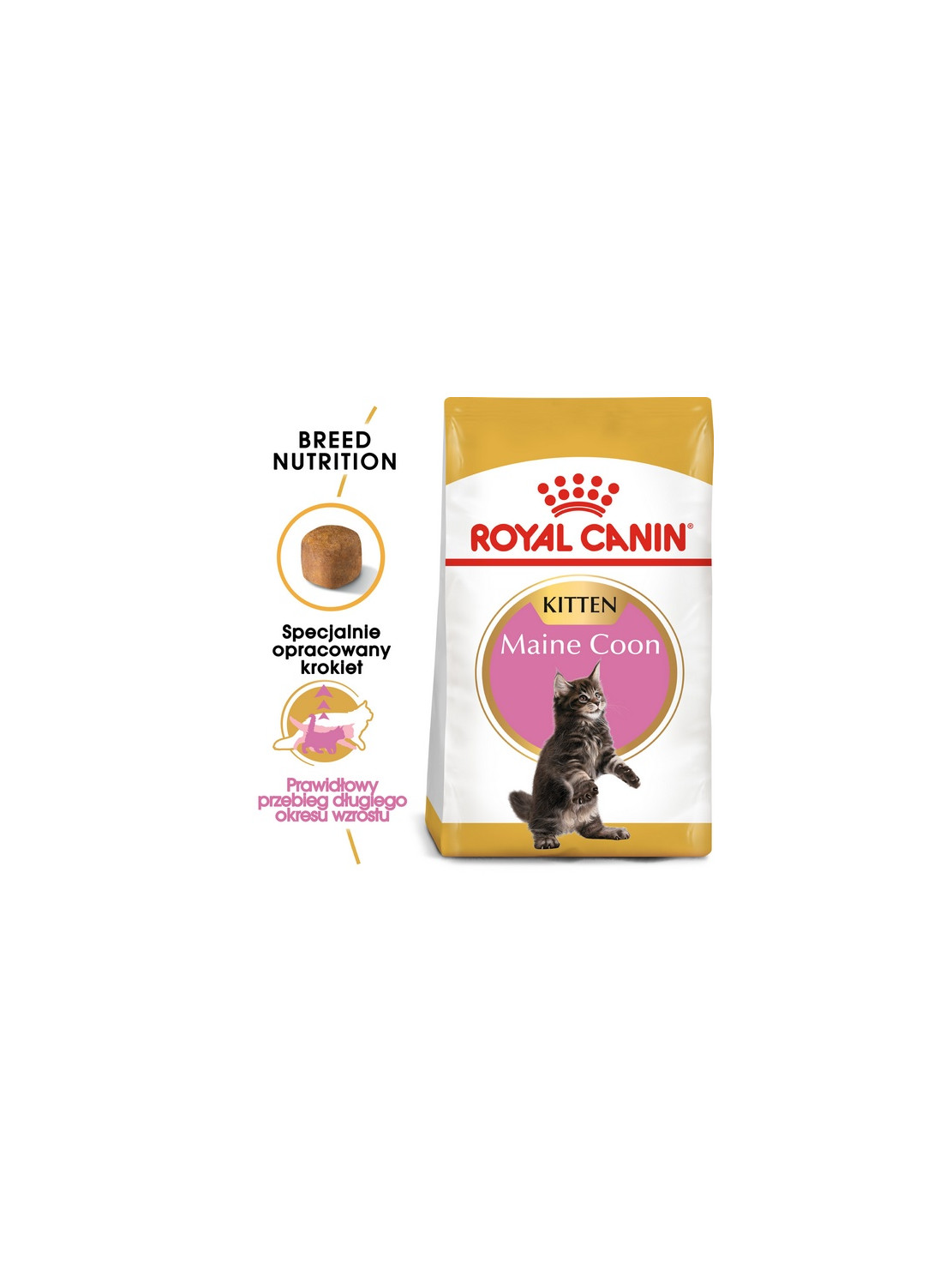 Royal Canin Maine Coon Kitten karma sucha dla kociąt, do 15 miesiąca, rasy maine coon 400g