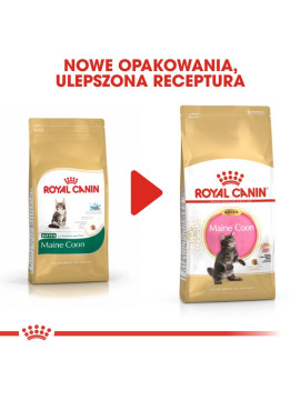 Royal Canin Maine Coon Kitten karma sucha dla kociąt, do 15 miesiąca, rasy maine coon 400g