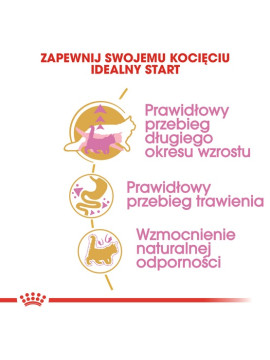 Royal Canin Maine Coon Kitten karma sucha dla kociąt, do 15 miesiąca, rasy maine coon 400g