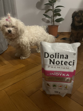 Mokra karma dla psa Dolina Noteci Premium bogata w indyka saszetka 500 g