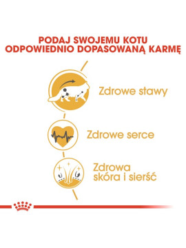 Royal Canin Maine Coon Adult karma sucha dla kotów dorosłych rasy maine coon 400g