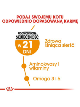 Royal Canin Hair&Skin Care karma sucha dla kotów dorosłych, lśniąca sierść i zdrowa skóra 400g