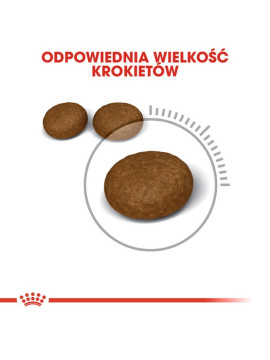 Royal Canin Hair&Skin Care karma sucha dla kotów dorosłych, lśniąca sierść i zdrowa skóra 400g