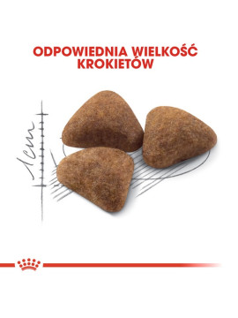 Royal Canin Indoor karma sucha dla kotów dorosłych, przebywających wyłącznie w domu 400g