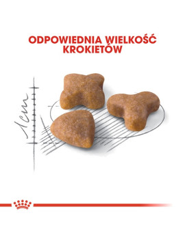 Royal Canin Sensible karma sucha dla kotów dorosłych, o wrażliwym przewodzie pokarmowym 400g