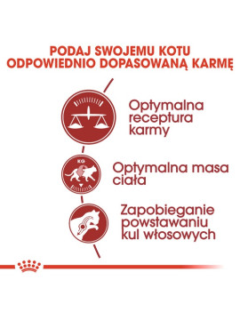 Royal Canin Fit karma sucha dla kotów dorosłych, wspierająca idealną kondycję 400g