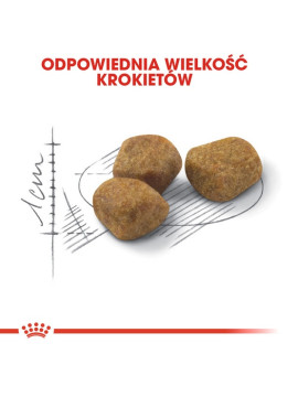 Royal Canin Fit karma sucha dla kotów dorosłych, wspierająca idealną kondycję 400g