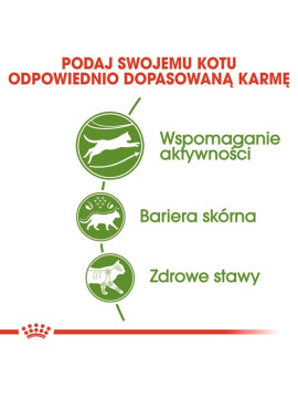 Royal Canin Outdoor karma sucha dla kotów dorosłych, wychodzących na zewnątrz 400g