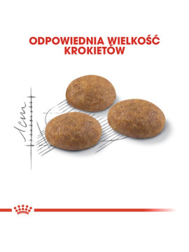 Royal Canin Outdoor karma sucha dla kotów dorosłych, wychodzących na zewnątrz 400g
