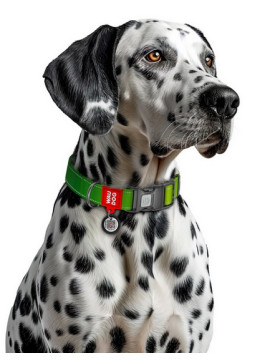 Collar WauDog Nylon Mono Obroża nylonowa odblaskowa z QR-paszportem, plastikowy fastex, M 20mm/28-40cm jasnozielona