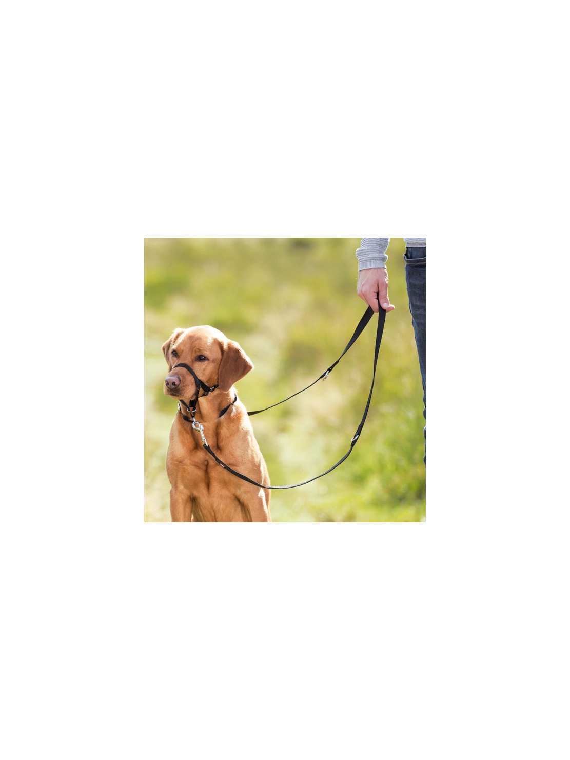 Trixie Uprząż Top Trainer S 22cm [13002]