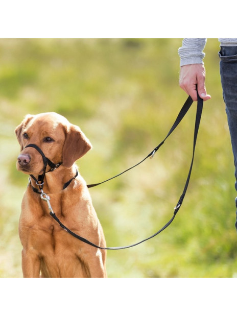 Trixie Uprząż Top Trainer S 22cm [13002]