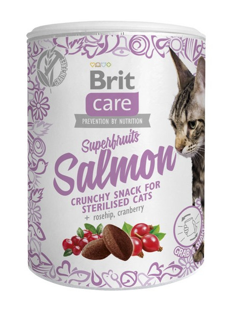 Brit Care Cat Snack Superfruits Salmon 100g